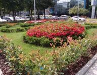 Aiuola Metro Milanofiori